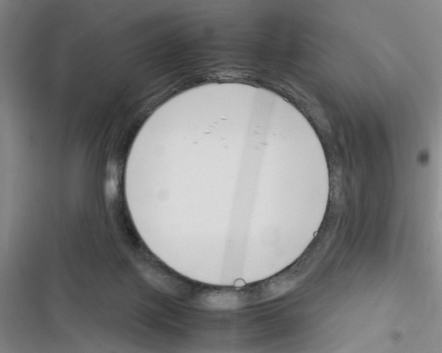 X0000116350075201001131115