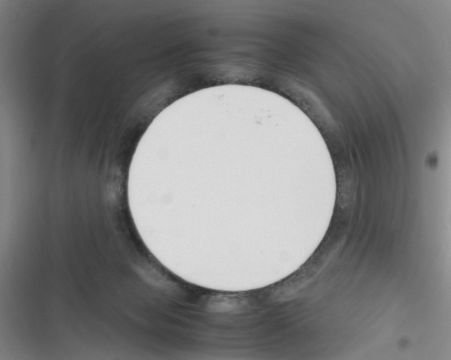 X0000116350077201001131115