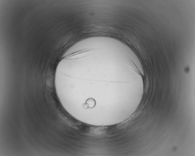 X0000116350078201001131115