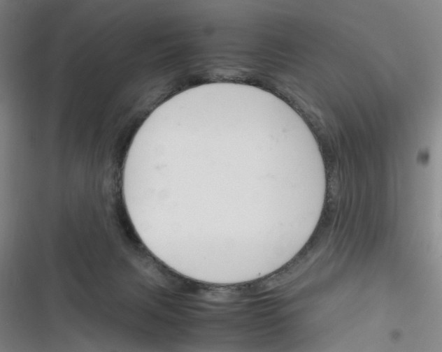 X0000116350079201001131115