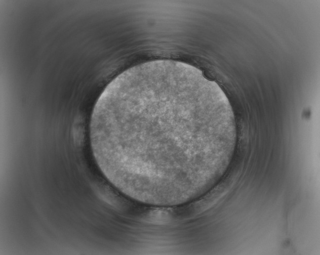 X0000116350080201001131115