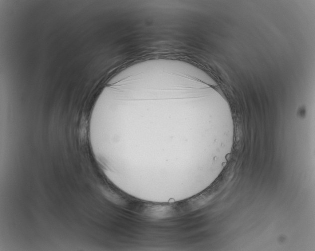 X0000116350081201001131115