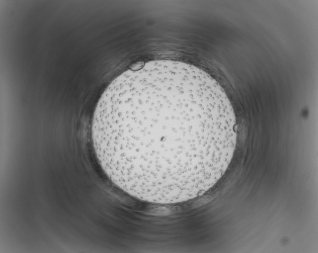 X0000116350083201001131115
