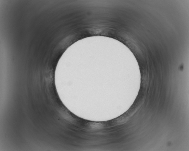 X0000116350085201001131115