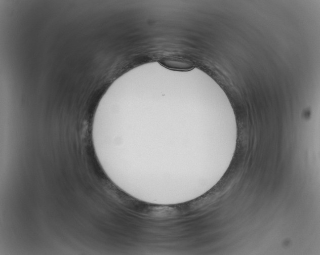 X0000116350087201001131115