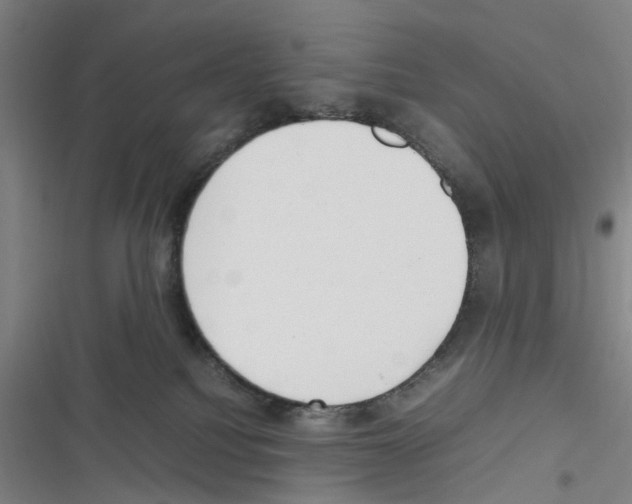 X0000116350088201001131115