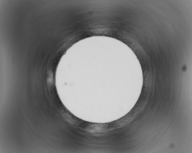 X0000116350089201001131115