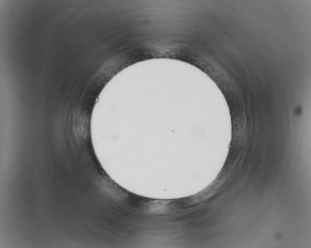 X0000116350090201001131115