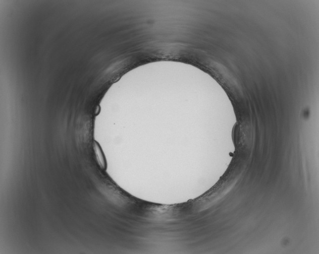 X0000116350092201001131115