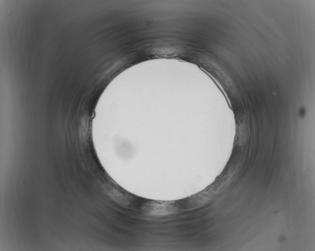X0000116350093201001131115