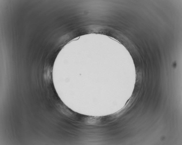 X0000116350094201001131115