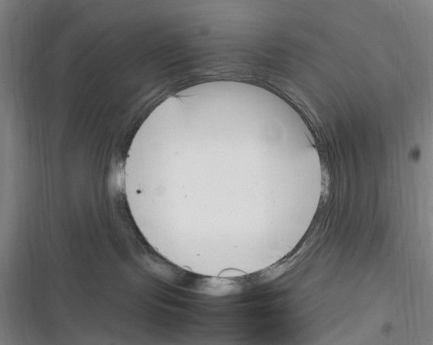 X0000116350095201001131115