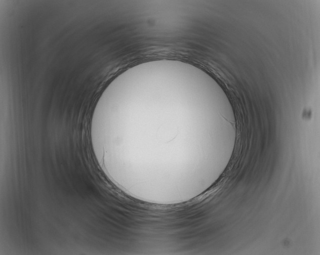 X0000116350096201001131115
