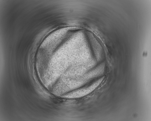 X0000116350097201001131114