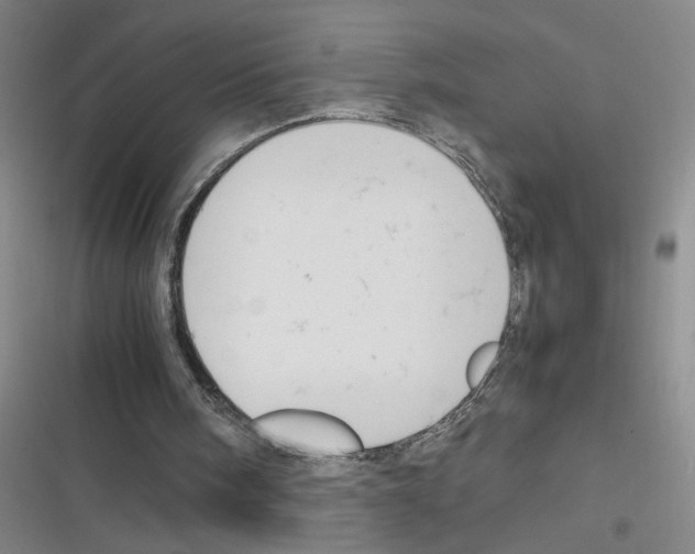 X0000116350098201001131114