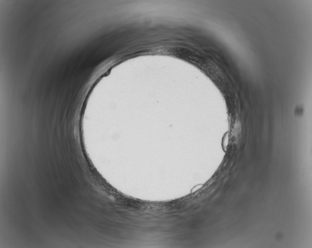 X0000116350099201001131114