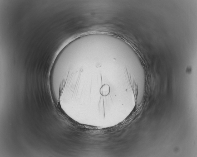 X0000116350100201001131114