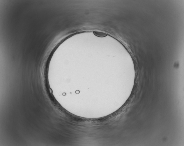 X0000116350103201001131114