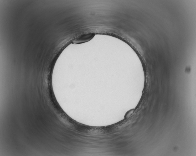 X0000116350105201001131114