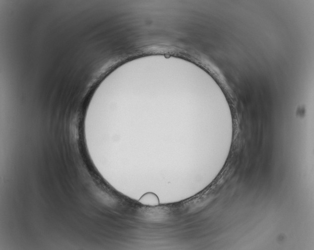 X0000116350106201001131114