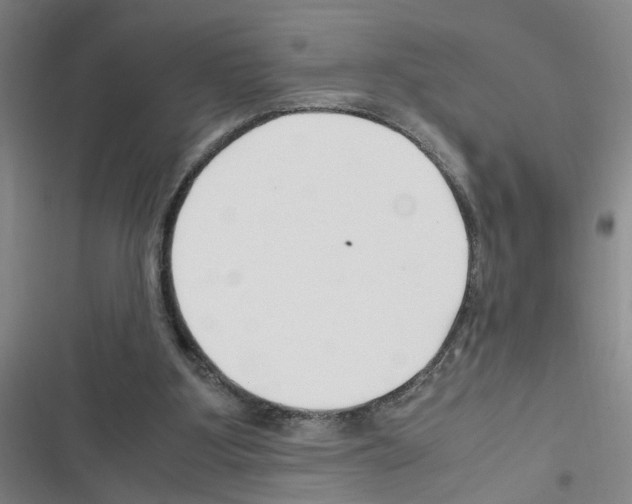 X0000116350107201001131114