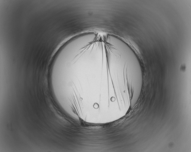 X0000116350108201001131114