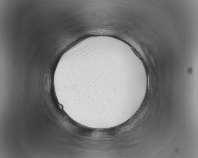 X0000116350109201001131114