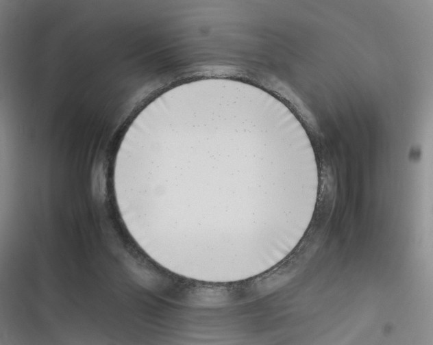 X0000116350110201001131114