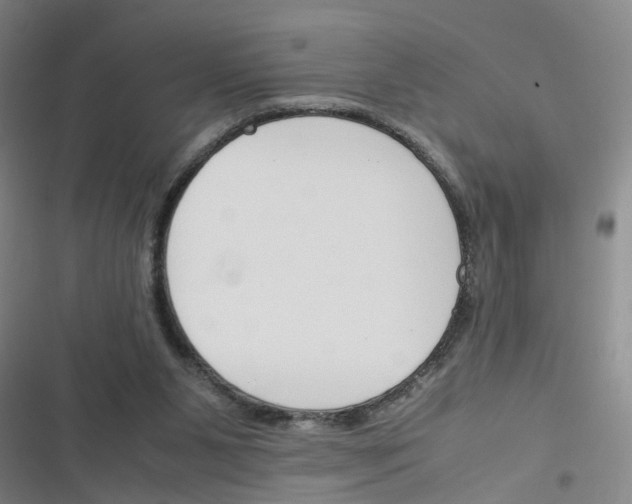 X0000116350111201001131114