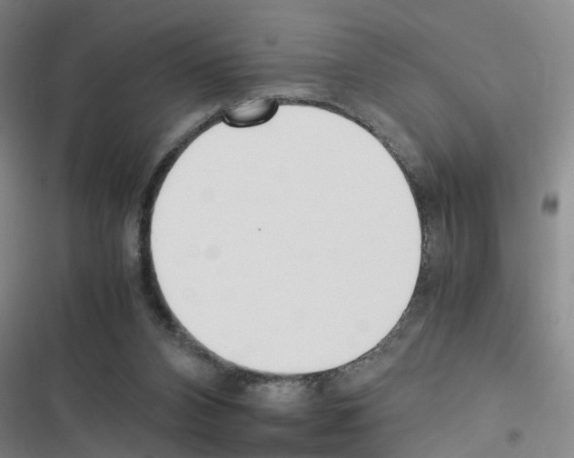 X0000116350112201001131114