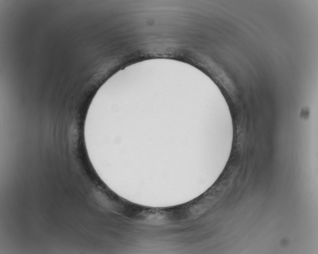 X0000116350113201001131114