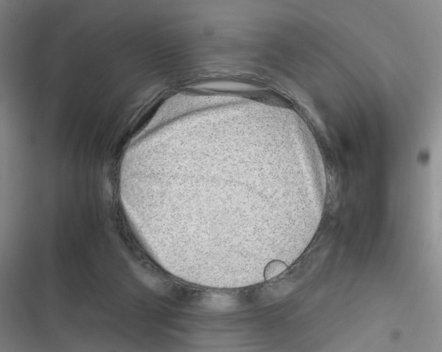 X0000116350114201001131114