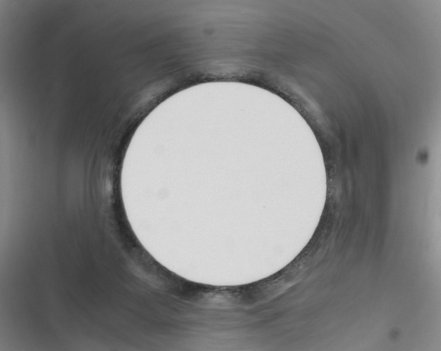 X0000116350115201001131114