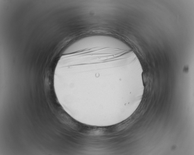 X0000116350116201001131114