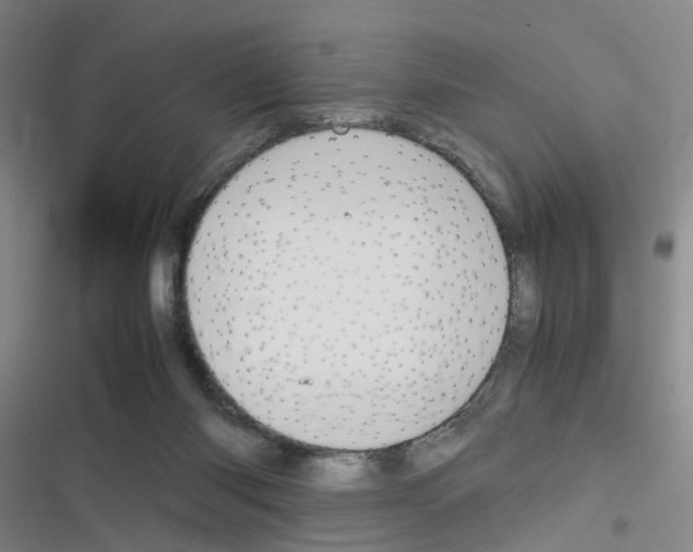 X0000116350118201001131114