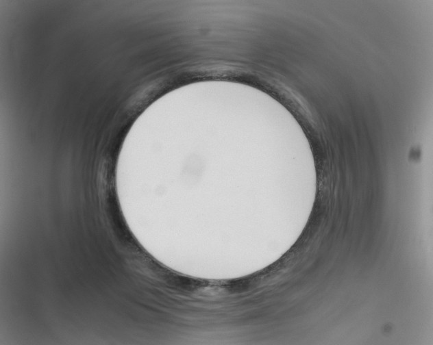 X0000116350119201001131114