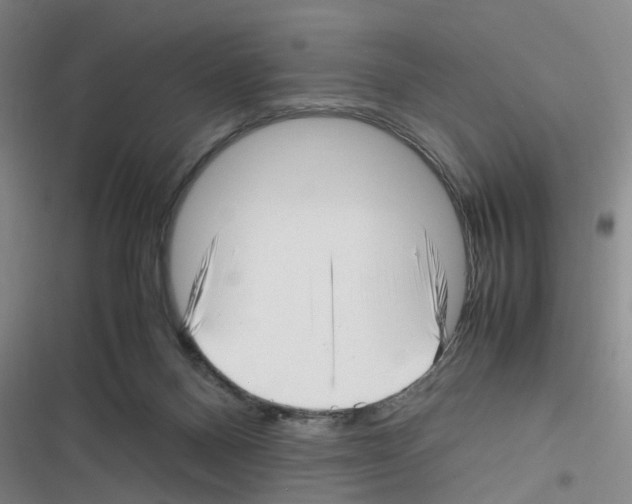 X0000116350120201001131114