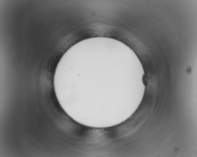 X0000116350121201001131114