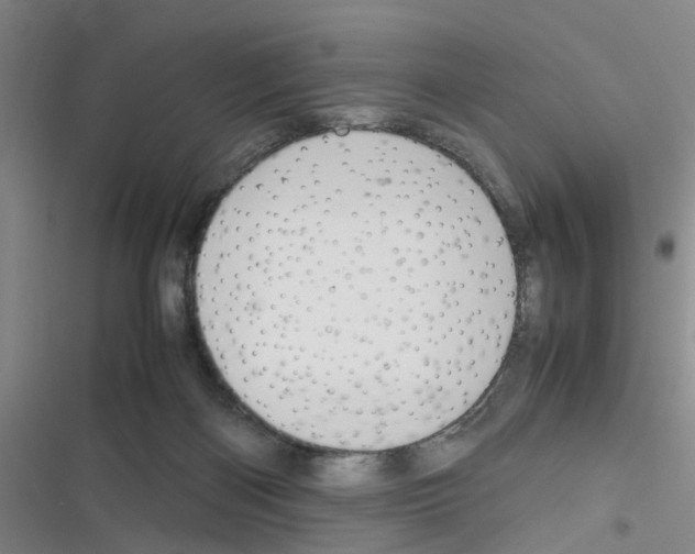 X0000116350122201001131114