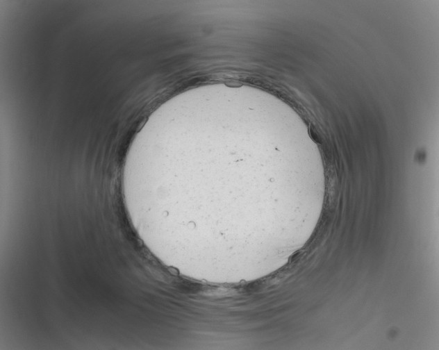 X0000116350125201001131114