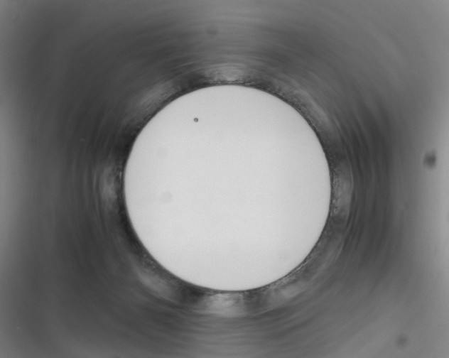 X0000116350126201001131114