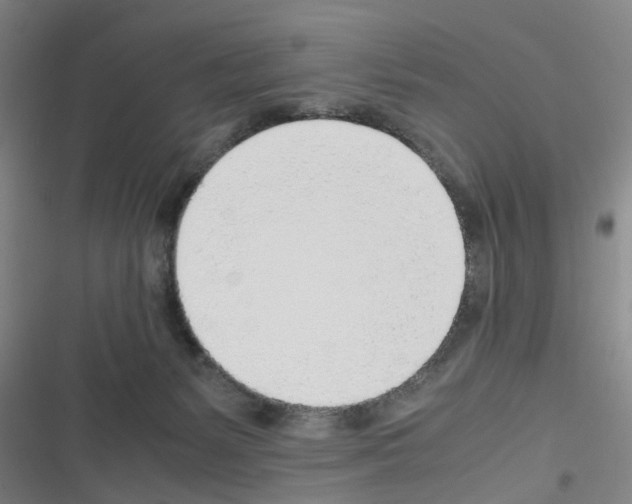 X0000116350127201001131114