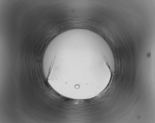 X0000116350128201001131114