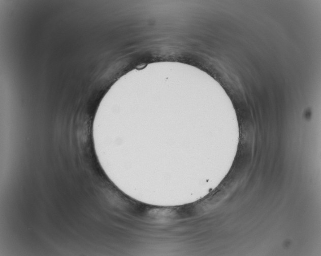 X0000116350133201001131114