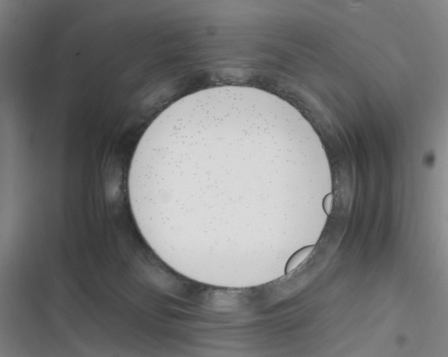 X0000116350134201001131114