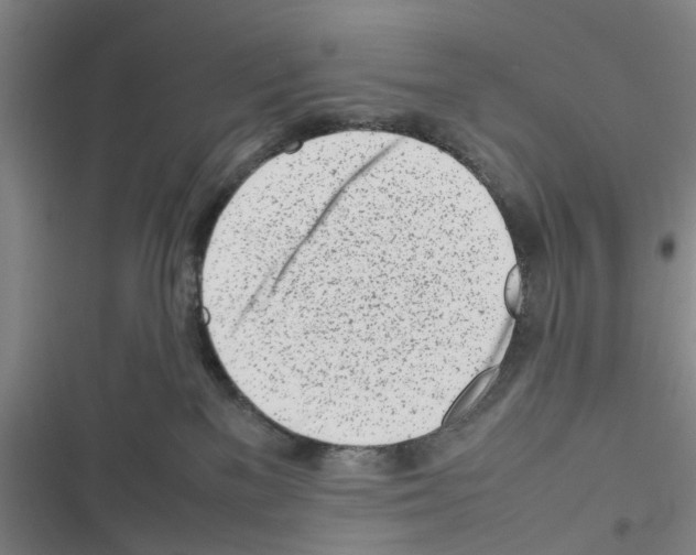 X0000116350137201001131114