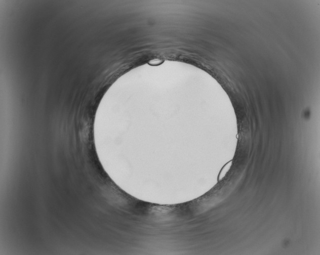 X0000116350139201001131114