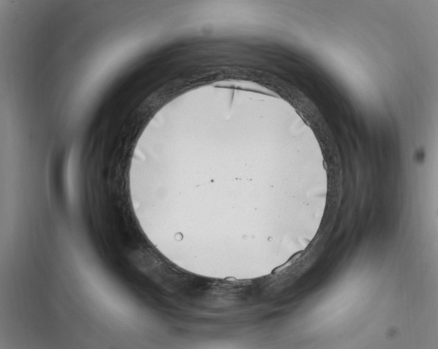 X0000116350140201001131114