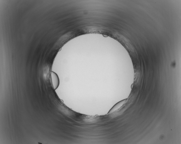 X0000116350142201001131114