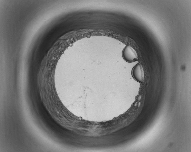 X0000116350143201001131114